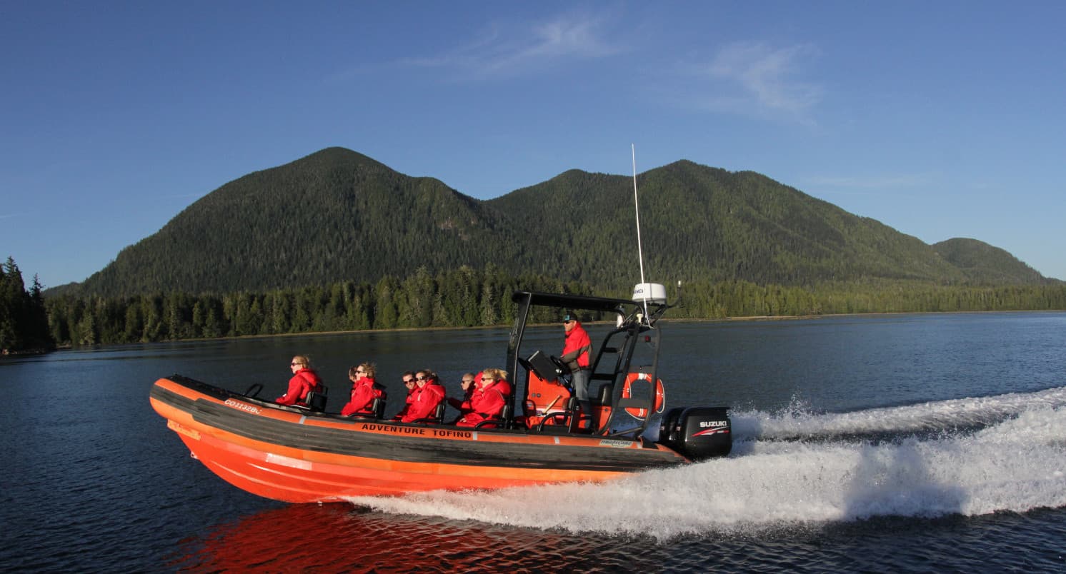 Gray whale breaching in Clayoquot Sound near Tofino BC