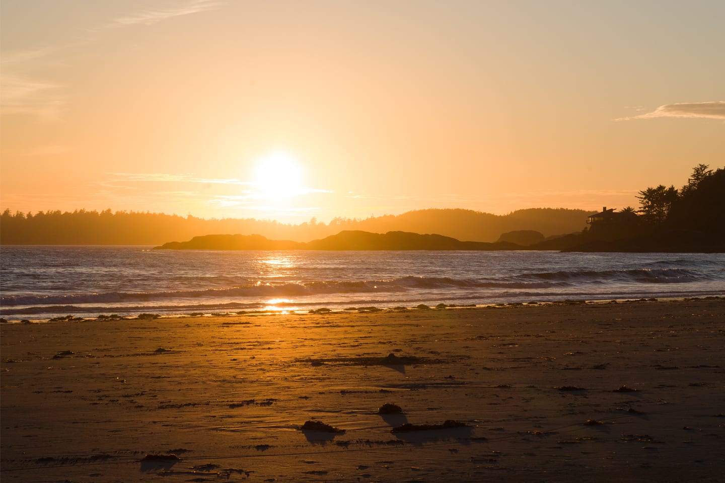 Golden sunset at Chesterman Beach, Tofino BC